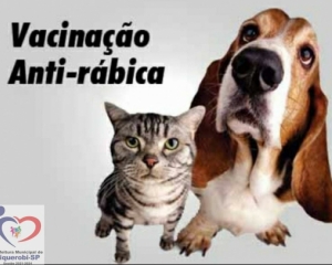 8b107684860a906379d8db8e96bbb75f.jpg