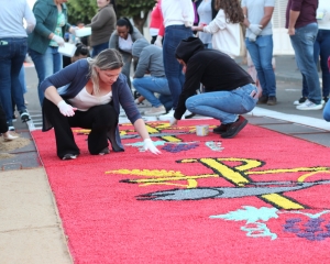 img0047.jpg