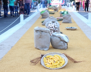 img0478.jpg